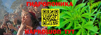 jwh Кингисепп