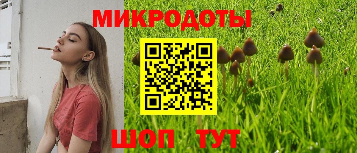 Лениногорск  Псилоцибиновые грибы прущие грибы  Вход с VPN 